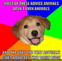 Advice Dog