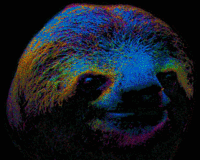 Sloths