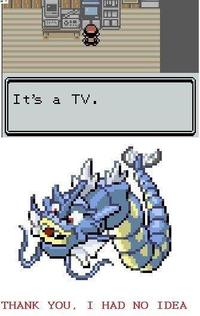 Pokemon