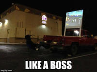 Like A Boss