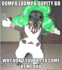COME AT ME BRO