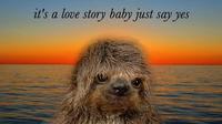 Sloths