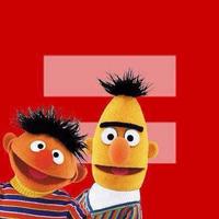 Red Equal Sign