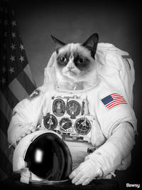 Grumpy Cat
