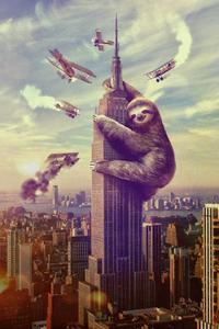 Sloths