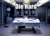 Name Puns