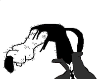 Dolan
