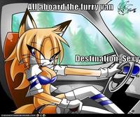 Furries
