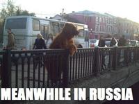 Meanwhile in X