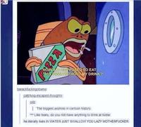 SpongeBob SquarePants