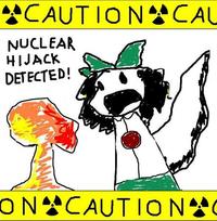 Nuclear Fusion