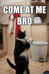 COME AT ME BRO