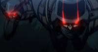 c81.png