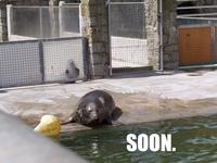 SOON