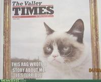 Grumpy Cat
