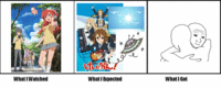 What I Watched / What I Expected / What I Got