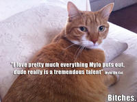 Mylo the Cat