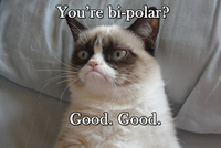 Grumpy Cat