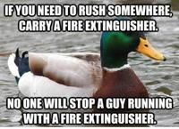 Actual Advice Mallard