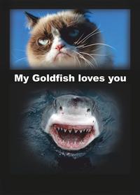 Grumpy Cat