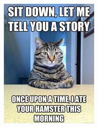 Cats