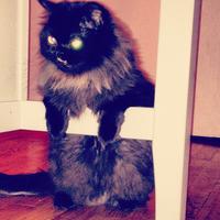 Princess Monster Truck