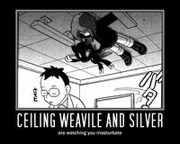 Ceiling Cat