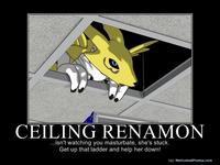 Ceiling Cat