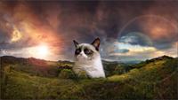 Majestic as Fuck