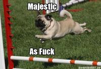 Majestic as Fuck