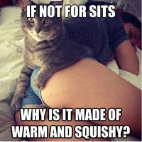 If It Fits I Sits