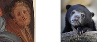 Confession Bear