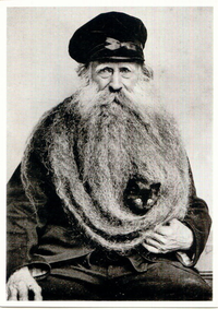 Cat Beards