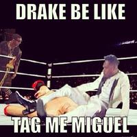 Miguel's Fan-Kicking Stage Dive