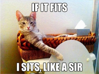 If It Fits I Sits