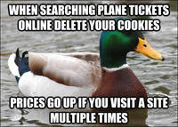 Actual Advice Mallard