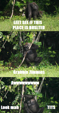 That Really Rustled My Jimmies