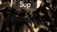 Call of Duty Dog