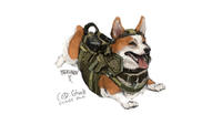 Call of Duty Dog