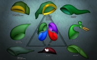 The Legend of Zelda