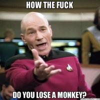 IKEA Monkey
