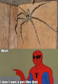 '60s Spider-Man