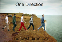 One Direction