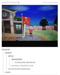 Tumblr
