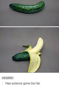 Tumblr