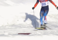 skiier