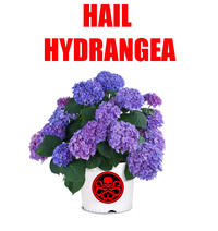 Hail Hydra