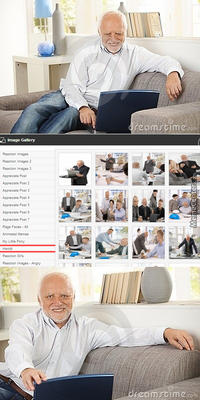 Hide The Pain Harold