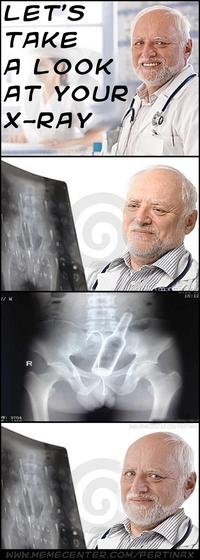 Hide The Pain Harold