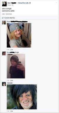 Hide The Pain Harold